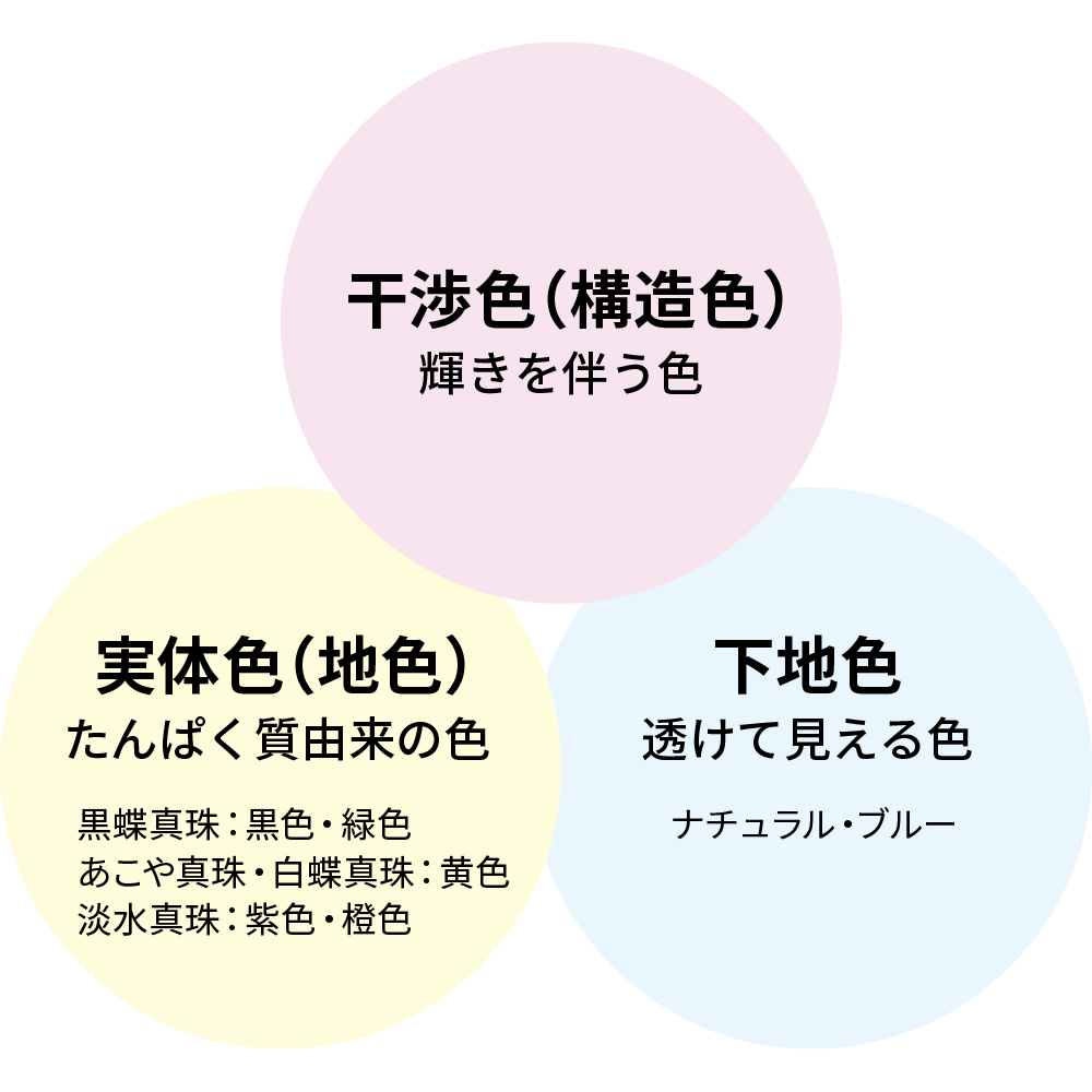 真珠の色のメカニズム図