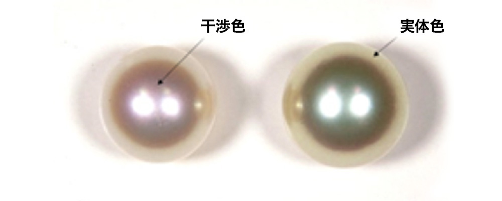真珠の実体色と干渉色