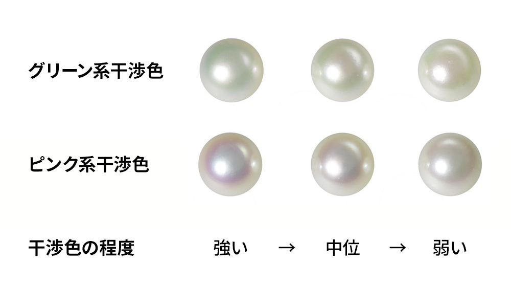 あこや真珠の干渉色　ピンクとグリーン