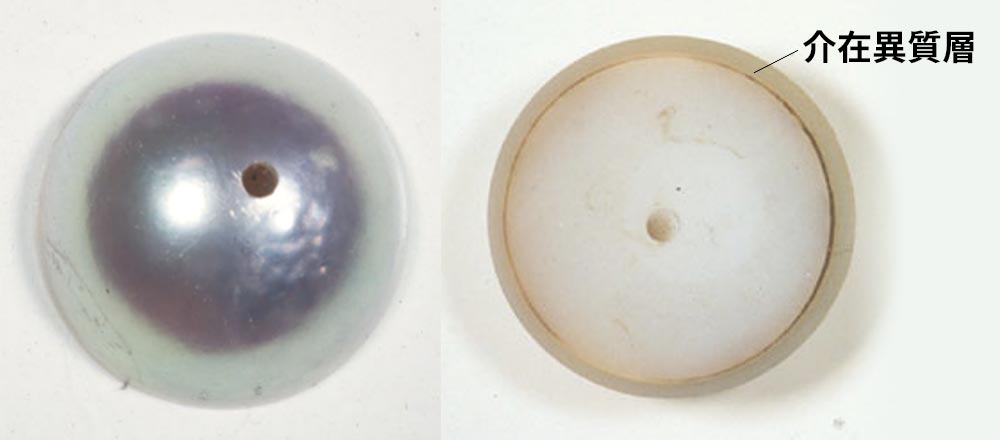 介在異質層